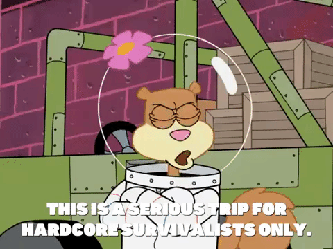 season 5 the inmates of summer GIF by SpongeBob SquarePants