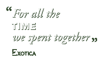 exoticaflowers love valentine together quarantine Sticker