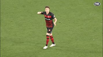 Western Sydney Wanderers Football GIF by wswanderersfc