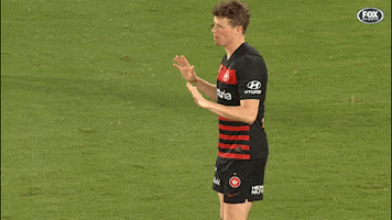 Western Sydney Wanderers Arguing GIF by wswanderersfc