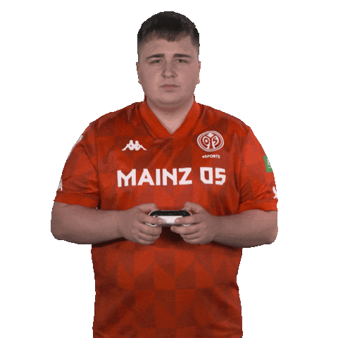 1 Fsv Mainz 05 Wtf Sticker by Bundesliga