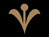 espurnesbarroques espurna espurnesbarroques barroques espurnes barroques GIF