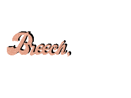 Thepositiveequestrian Sticker by Marina Layton