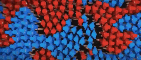 bongjunjeong giphyupload GIF