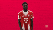 Fc Bayern Football GIF by Bundesliga