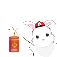 Chinese Bunny Sticker by spritzer