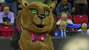 Liga Endesa Basketball GIF by ACB