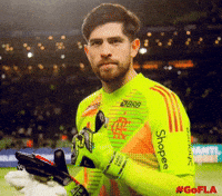 TheBuuf flamengo GIF