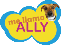 allythedog dog panama ally adopteddog Sticker