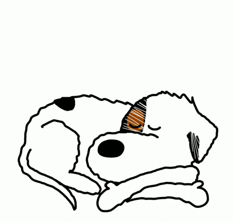 Tired Jack Russell GIF