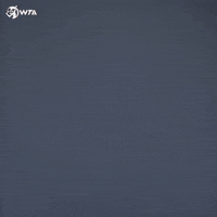 Tennis Smile GIF by WTA