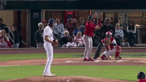 tesstass giphyupload GIF