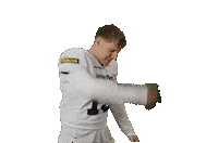 American Football Sticker by Frankfurt Galaxy