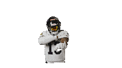 American Football Sticker by Frankfurt Galaxy