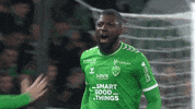 France Football GIF by AS Saint-Étienne