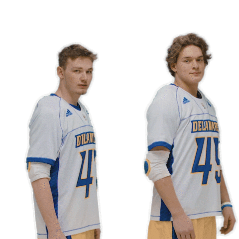 ncaa sports sport Sticker by Delaware Blue Hens