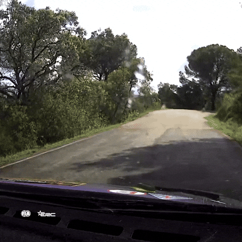 Racing Splash GIF by FIA European Rally Championship