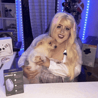Dog Puppy GIF