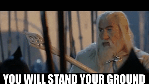 OrangeHatReviews giphygifmaker lord of the rings return of the king stand your ground GIF