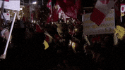 washington state wave GIF by ESPN
