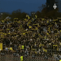 Kairat Fans GIF by FC Kairat