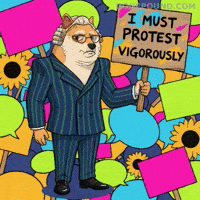 Dog No GIF by Doge Pound