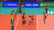 Sport Wow GIF by Volleyball World