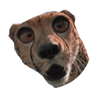 derp STICKER by imoji