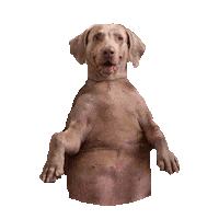 derp STICKER by imoji