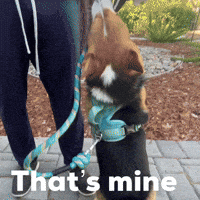 Thats Mine GIF