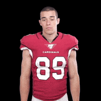 Arizona Cardinals No GIF by NFL