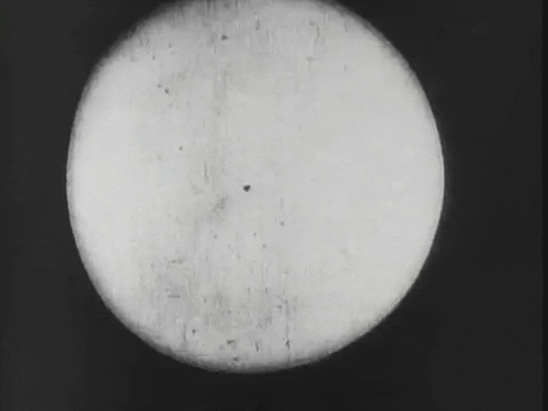 vfxapp giphyupload circle 8mm vfxapp GIF