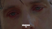 the walking dead fox GIF