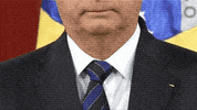 theplanetvs bolsonaro climatechange allrise theplanetvs GIF