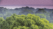 theplanetvs bolsonaro climatechange allrise theplanetvs GIF