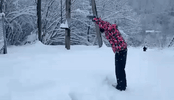 snow swim GIF