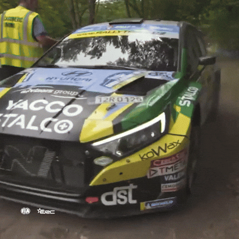 Problem Erc GIF by FIA European Rally Championship