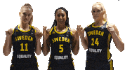 Proud Team Sticker by Sweden Basketball