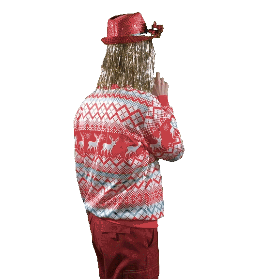 Christmas Kerstdagen Sticker by tjgdresden