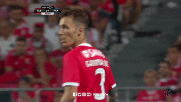 Sl Benfica Slbgifs GIF by Sport Lisboa e Benfica