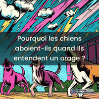 Aboiement Chien GIF by ExpliquePourquoi.com