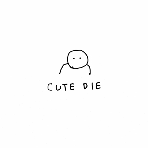 cutedie213 what cutedie cutedie213 GIF