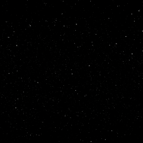 Cryptocurrency Blockchain GIF by Nexus