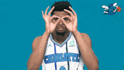 happy fresh prince GIF by Charlotte Hornets