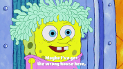season 9 sanctuary GIF by SpongeBob SquarePants