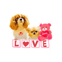 Cavalierkingcharlesspaniel Sticker