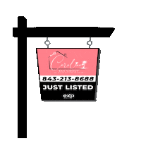 carolinakeygroup carolinakeygroup carolina key group Sticker