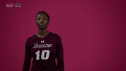 southern illinois mvc GIF by Missouri Valley Conference