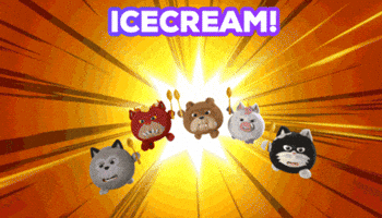 Angry Cat GIF by HangryPetz