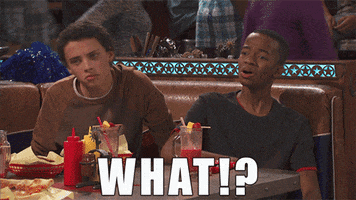 bella and the bulldogs what GIF by Nickelodeon